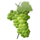 Grapes Icon 128x128 png