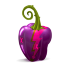 Pepper 16 Icon 64x64 png