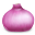 Onion Icon 32x32 png