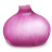 Onion Icon 48x48 png