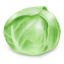Cabbage Icon 64x64 png
