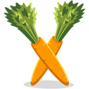 Carrots Icon 128x128 png
