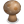 Mushroom Icon 24x24 png