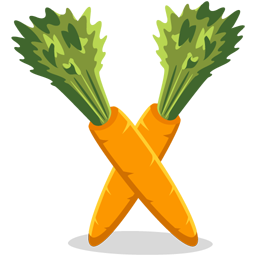 Carrots Icon 256x256 png