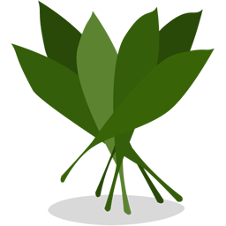 Greens Icon 256x256 png