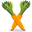 Carrots Icon 32x32 png