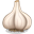 Garlic Icon 32x32 png