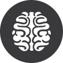 Brain Games Grey Icon 128x128 png