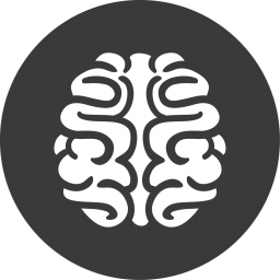 Brain Games Grey Icon 256x256 png