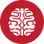 Brain Games Red Icon 64x64 png