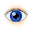 Look Icon 32x32 png