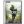 Call of Duty 4 Icon 24x24 png