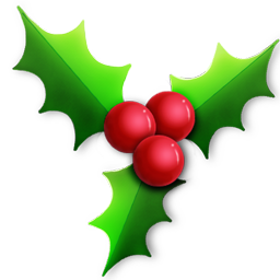 Holly Icon 256x256 png