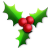 Holly Icon 48x48 png