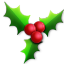 Holly Icon 64x64 png