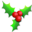 Holly Light Icon 64x64 png