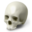 Scull Icon 128x128 png