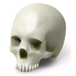 Scull Icon 256x256 png