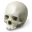 Scull Icon 32x32 png