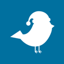 Christmas Birdie Icon 128x128 png