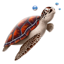 Turtle Icon 128x128 png