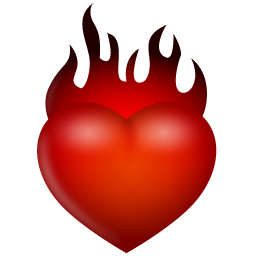 Fire Icon 256x256 png