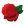 Rose Icon 24x24 png