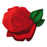 Rose Icon 96x96 png