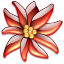 Flower Icon 64x64 png