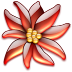 Flower Icon 72x72 png