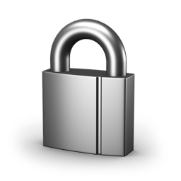 Lock Icon 256x256 png
