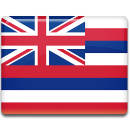 Hawaii Flag Icon 256x256 png