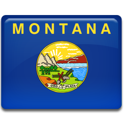 Montana Flag Icon 256x256 png