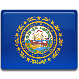 New Hampshire Flag Icon 256x256 png