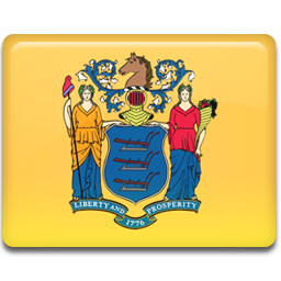 New Jersey Flag Icon 256x256 png