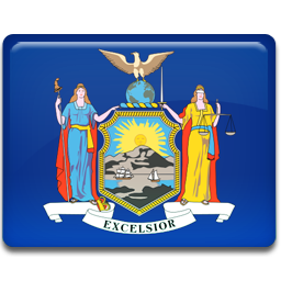 New York Flag Icon 256x256 png