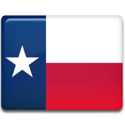 Texas Flag Icon 256x256 png
