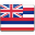 Hawaii Flag Icon 32x32 png