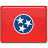 Tennessee Flag Icon 48x48 png