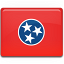 Tennessee Flag Icon 64x64 png