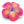 Flower Icon 24x24 png