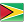 Guyana Flag Icon 24x24 png