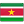 Suriname Flag Icon 24x24 png