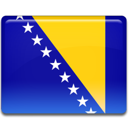 Bosnian Flag Icon 256x256 png