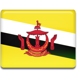 Brunei Flag Icon 256x256 png