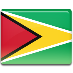 Guyana Flag Icon 256x256 png