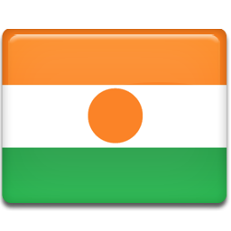 Niger Flag Icon 256x256 png