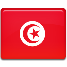 Tunisia Flag Icon 256x256 png