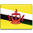 Brunei Flag Icon 48x48 png