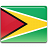 Guyana Flag Icon 48x48 png